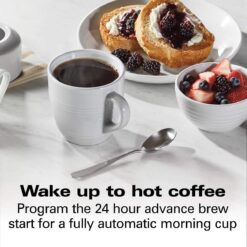 Hamilton Beach 12-Cup Professional Programmable Coffee Maker | Silver -Small Kitchen Appliances Shop 71tkc vttl. ac sl1500