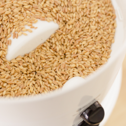 NutriMill Classic Grain Mill 7 NutriMill Classic Grain Mill -Small Kitchen Appliances Shop classic2