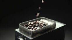 Fellow Ode Brew Grinder | Matte Black -Small Kitchen Appliances Shop maxresdefault 118 22